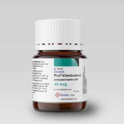 Clenbuterol Cycle