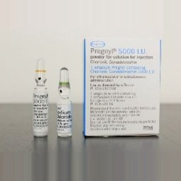 Pregnyl HCG 5000iu